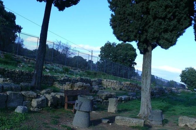 Guided Tour in Morgantina. Visit Morgantina. - Meeting and Pickup Information