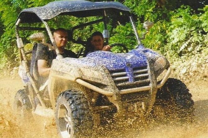Guided Tour in Polaris (4X4) by Macao Beach, Taino Cave and Typical House - Taino Cave Visit