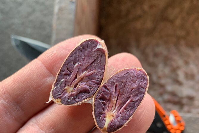 Guided Tour of the Artisan Chocolate Factory in Tuscany - Factory Location