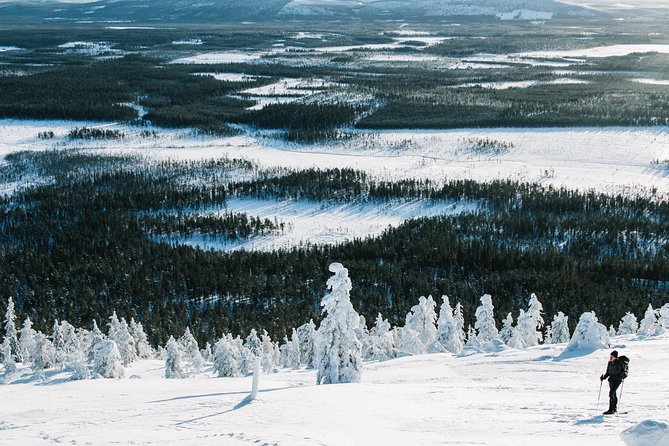 Guided Wilderness Skiing Tour In Pyhätunturi - Additional Information for the Tour