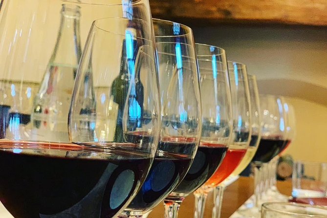Guided Winery Tour With Top Tastings & Lunch in Bolgheri With Local Wine Guide - Wine Tasting Experiences