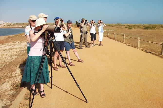 Half-Day Birdwatching at Alvor Dunes - Reviews and Ratings