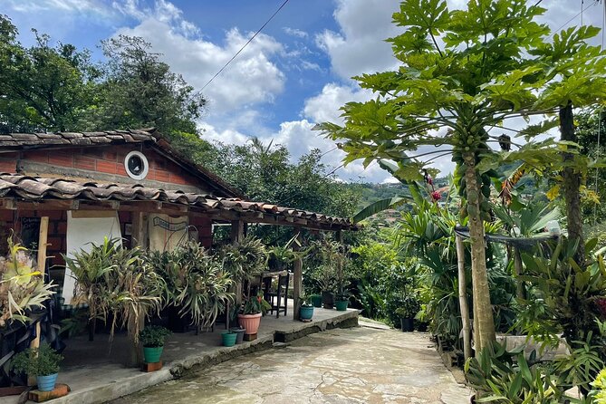 Half-Day Coffee Tour at Family Farm Close to Medellín - Good To Know