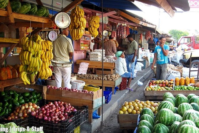 Half-Day Cultural Safari Tour From Uvero Alto - Inclusions and Experiences