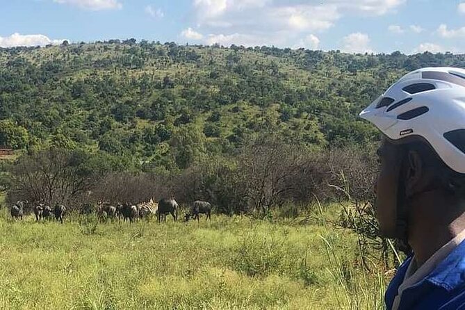 Half Day E-Biking With Wildlife Watching in Pretoria - Cancellation Policy and Weather Considerations