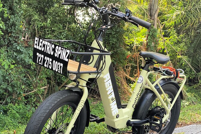 Half Day Electric Bike Rental on the Pinellas Trail - Inclusions