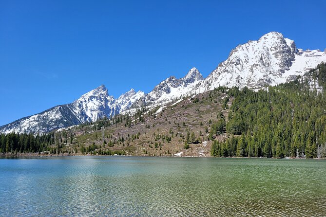 Half-Day Grand Teton National Park Wildlife Safari Private Tour - Inclusions