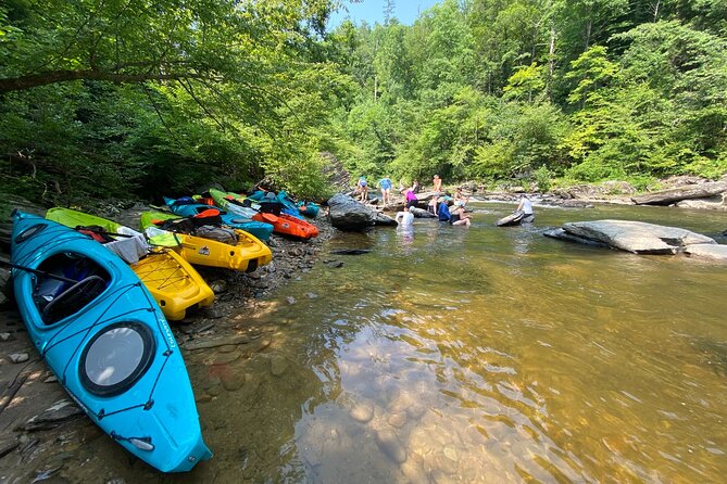 Half-Day Guided Kayaking in the Smoky Mountains of Tallassee - Inclusions