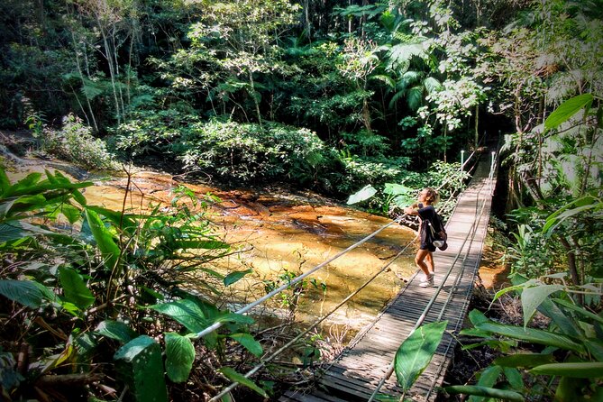 Half-Day Guided Tour of Tijuca Forest National Park  - Rio De Janeiro - Pricing and Booking Details