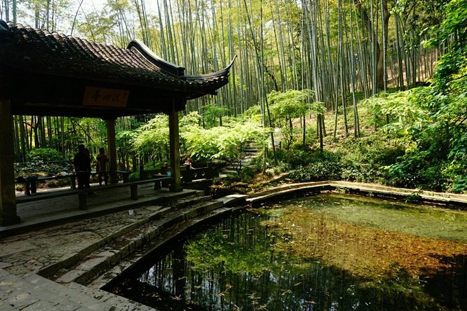 Half-Day Hangzhou Yunxi Bamboo Forest and Tea Plantation Experience - Booking Information