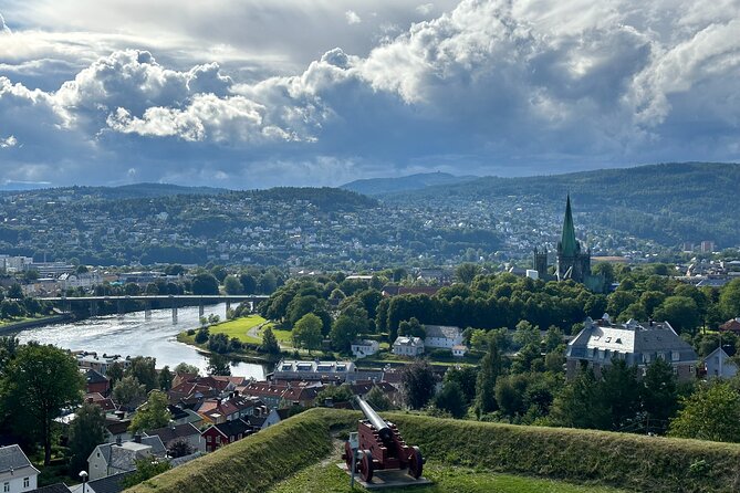 Half-Day Highlights of Trondheim by Bus and City Walk - Good To Know