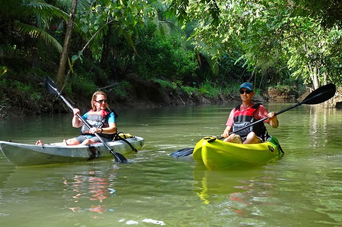 Half-Day Mangroves Tour by Kayak With a Naturalist Guide  - Quepos - Mangrove Ecosystems
