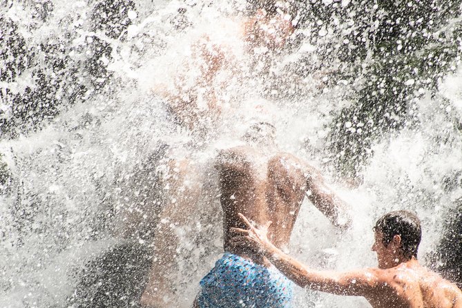 Half-Day Nauyaca Waterfalls Tour, With Swimming and Jumping  - Quepos - Inclusions