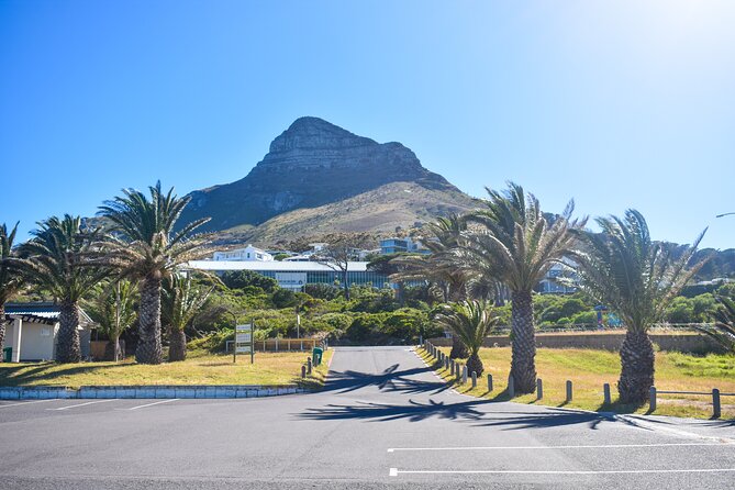 Half-Day Penguins and Coastal Sights From Cape Town - Scenic Highlights and Stops