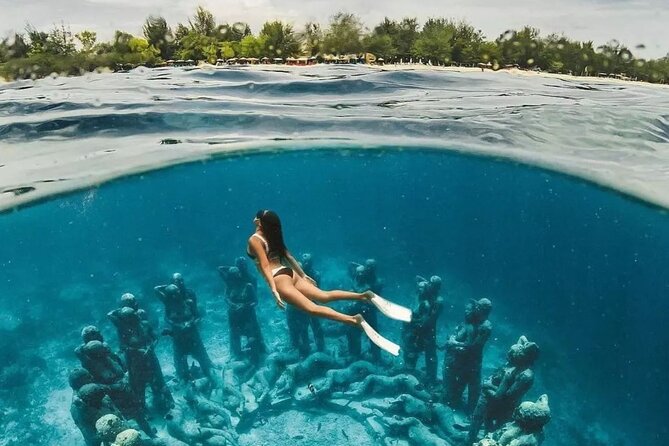 Half-Day Private Guided Snorkeling With Turtle And Statute - Activity Overview and Inclusions