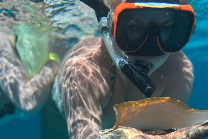 Half-Day Private Roatan Nature Park, Snorkeling, and Beach Tour - Itinerary Highlights