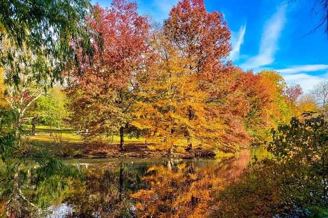Half-Day Private Walking Tour of Central Park - Inclusions