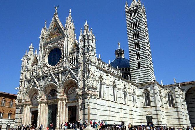 Half-day Private Walking Tour of Siena - Tour Itinerary