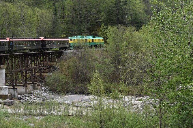 Half-Day Skagway City Tour and White Pass Summit Adventure - Good To Know