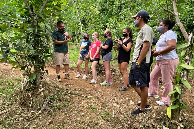 Half-Day Spice Guided Tour Chocolate Coffee and Vanilla Farm - Farm Experiences