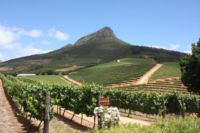 Half-Day Stellenbosch Winelands Tour From Cape Town - Tour Duration and Logistics