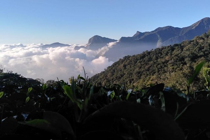 Half Day Sunrise Tour on Top Station, Munnar ( By Munnar Info) - Inclusions