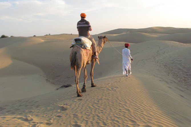 Half Day Sunset Camel & Cultural Adventure - Inclusions and Experiences