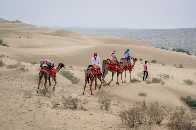 Half Day Sunset Camel Safari Jaisalmer - Camel Safari Experience