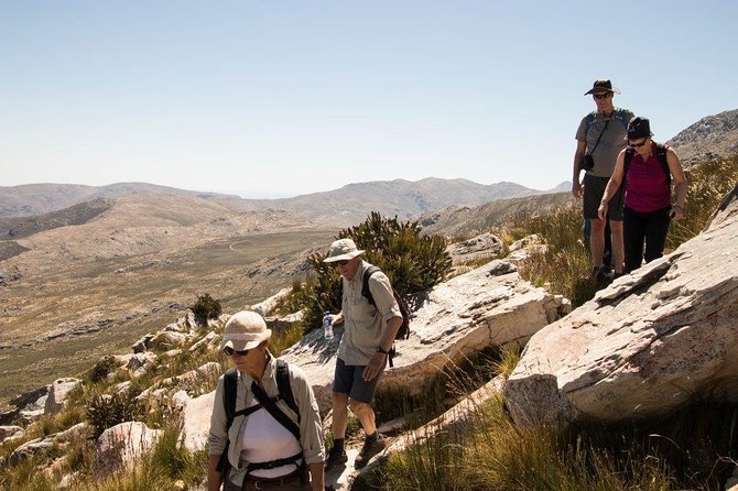 Half-Day Swartberg Pass PRIVATE Tour (Including Lunch & Transfer - Oudtshoorn) - Traveler Photos and Reviews