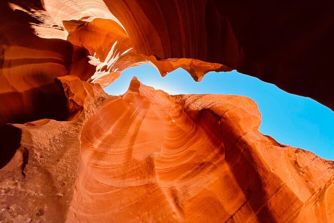 Half Day Tour of Mountain Sheep Canyon and Horseshoe Bend - Scenic Views and Photo Opportunities