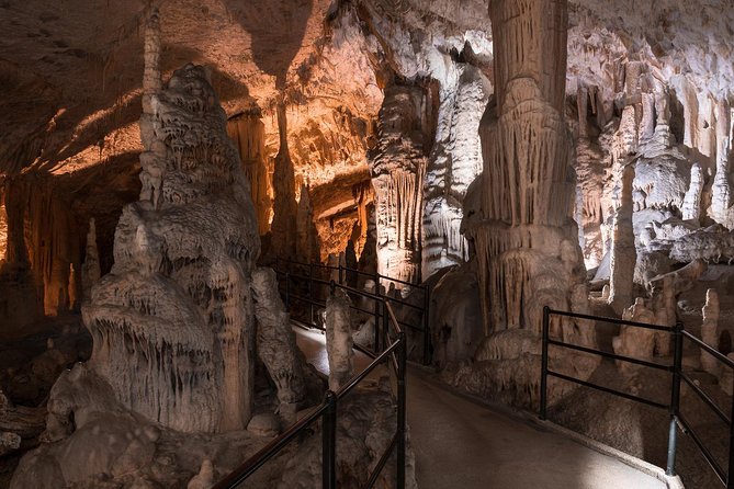 Half Day Tour to Postojna Cave& - Private Tour From Koper/Trieste/Piran - Inclusions