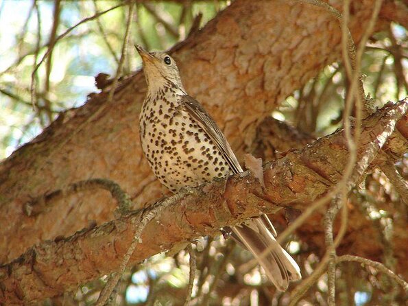 Half Day Walking Tour in Ria Formosa Nature Park - Essential Items to Bring