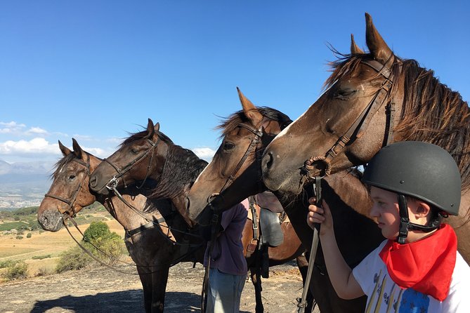 Half Day – Wine Tasting Horse Trail - Overview of the Experience