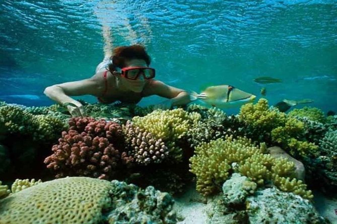 Hamata Island Snorkeling Tour From Marsa Alam - Snorkeling Locations