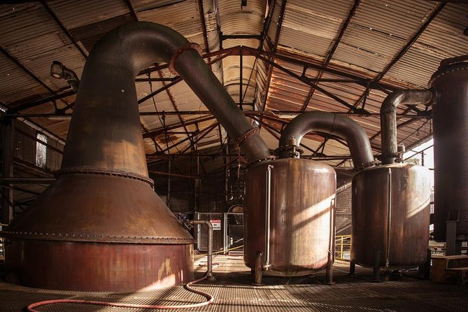 Hampden Estate Rum Tour and Lunch From Falmouth - Highlights of the Tour