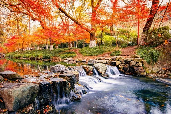 Hangzhou Jiuxi and Hupao Spring Hiking Day Trip From Shanghai by Bullet Train - Good To Know
