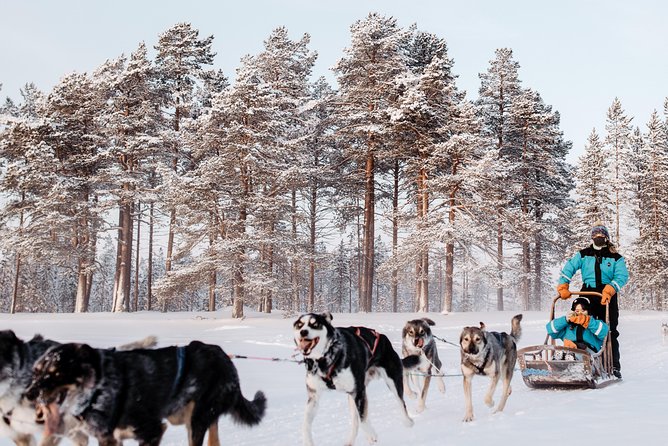 Happy Trail Morning 45 Minute Self Driven Husky Safari - Overview of the 45-Minute Self-Driven Husky Safari