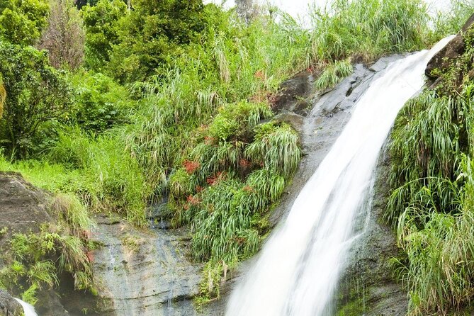 Health & Rejuvenate Tours - Top Destinations for Health Tours