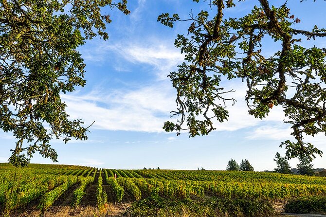 Heart of Willamette Winery Pass : Wine Tastings and Discounts - Participating Wineries