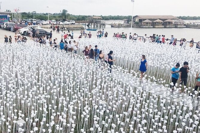 Heritage Tour With 10,000 Roses via CCLEX - Itinerary Details