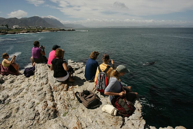 Hermanus Land Based Whale Walking Tour With Dave De Beer - Itinerary and Activities