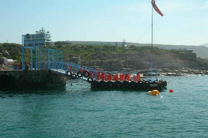 Hermanus Whale Watching Boat Trip With Shared Transfers From Cape Town - Cancellation Policy