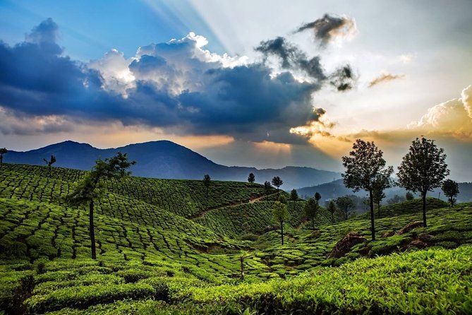 Highlights Of South India With Luxury Accomodation - Exquisite South Indian Cuisine