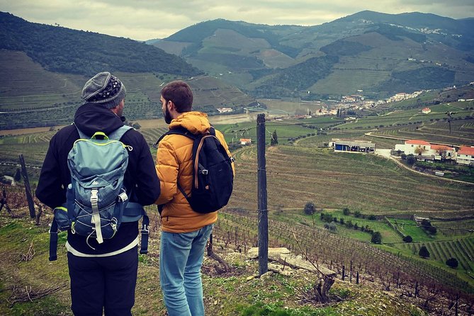 HIKE at DOURO VALLEY W/ Winery Visit and Tasting - Personalized Guided Tour