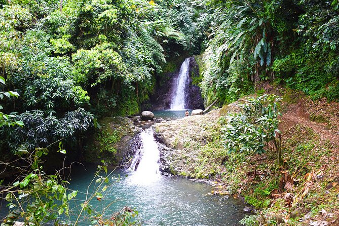 Hiking and Nature Rehabilitation Tour - What to Expect