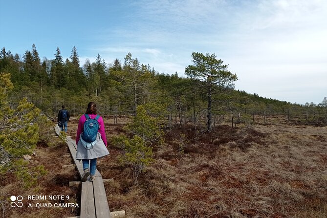 Hiking Experience in Torronsuo National Park With Backpacker Helsinki Tour - Additional Information