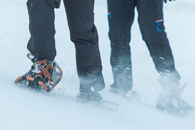 Hiking on Snowshoes - Dressing for Snowshoeing