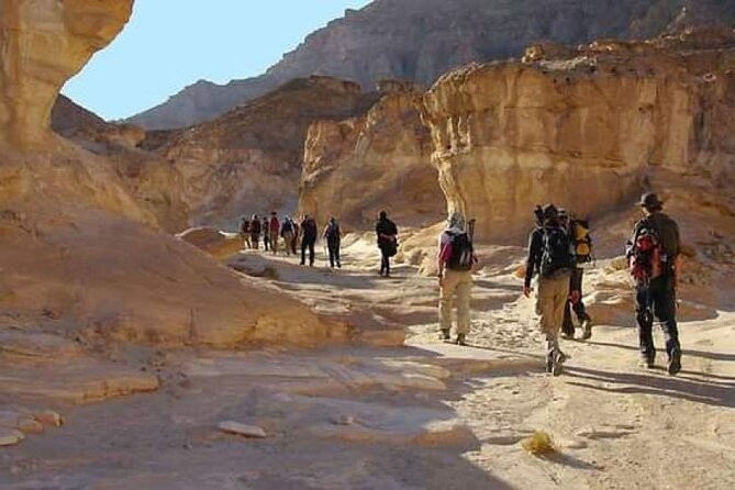 Hiking Sinai Mount Desert Camping & Adventure Trekking 7 Days. - Camping Gear and Equipment Provided