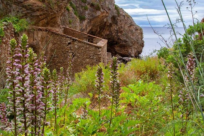 Hiking Tour to the Paradise Beach - Fitness Level and Physical Requirements