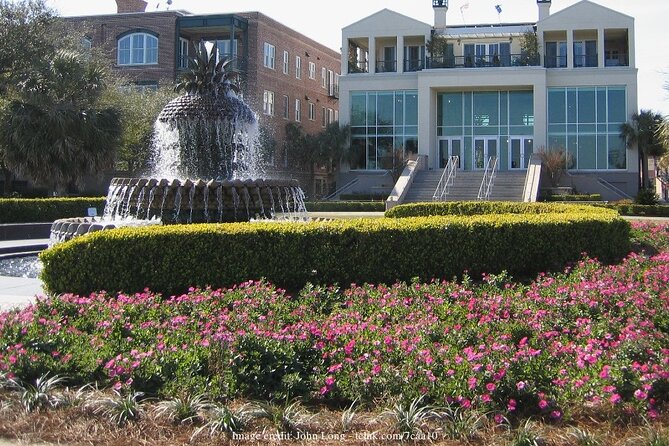 Historic Charleston: 2-hour Private Highlights Walking Tour - Reviews